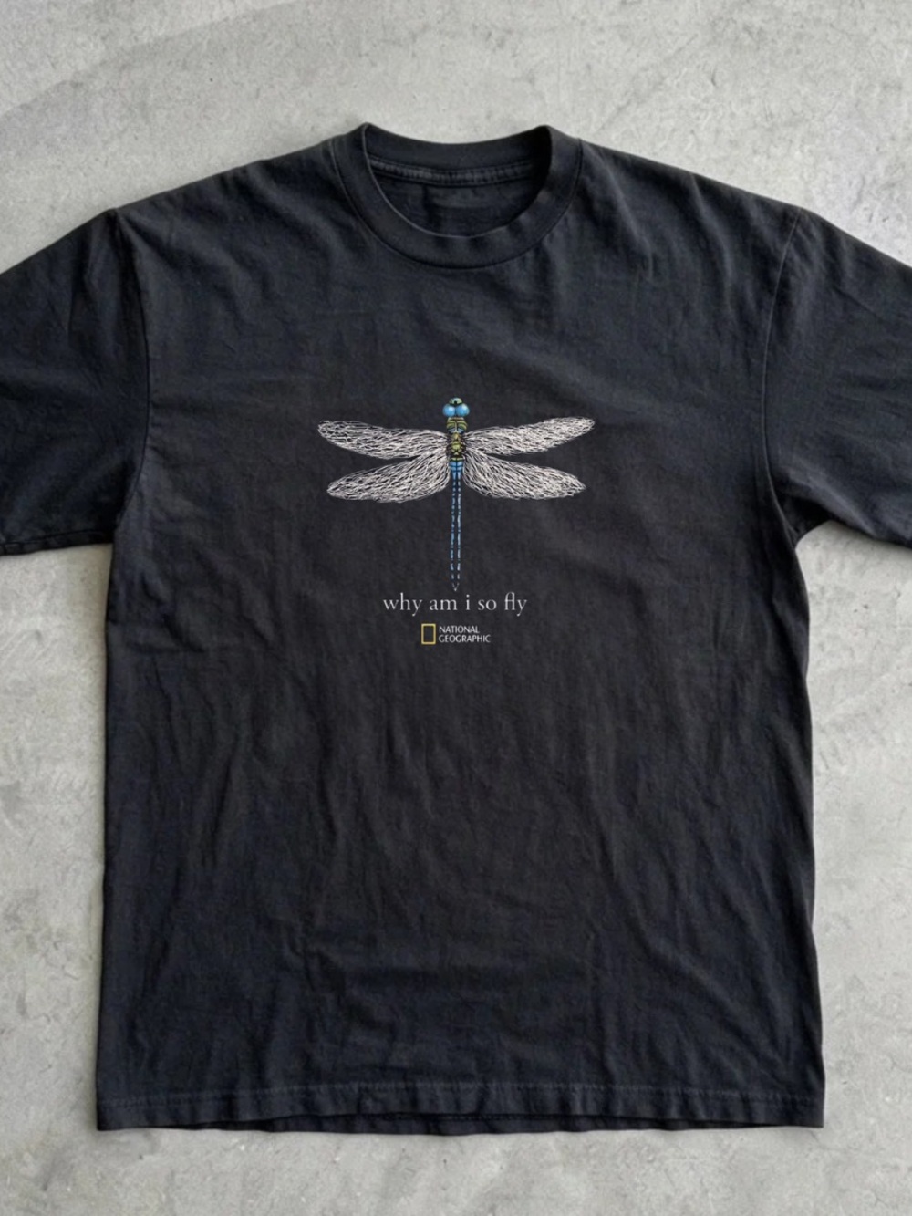 National Geographic Black Dragonfly Illustration Tee